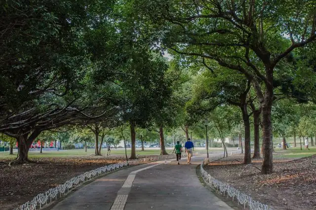 大溪埔頂公園