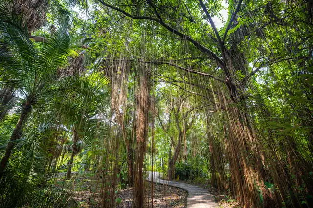 臺北植物園